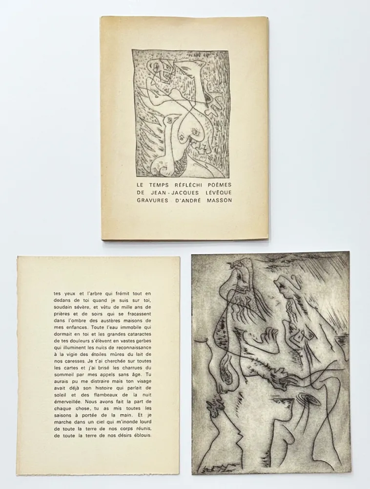 挿絵入り本 Masson - Le temps réfléchi