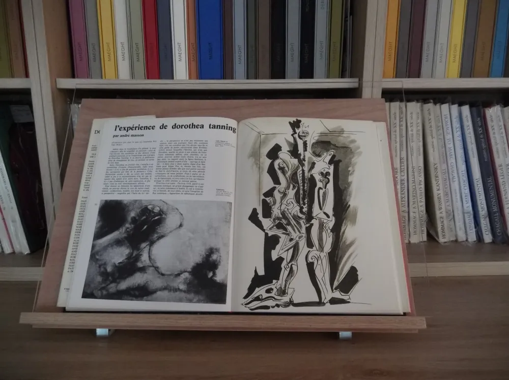 挿絵入り本 Masson - Xxe Tanning