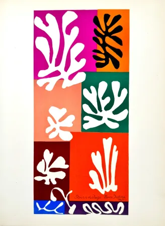 リトグラフ Matisse - Fleurs de neige 