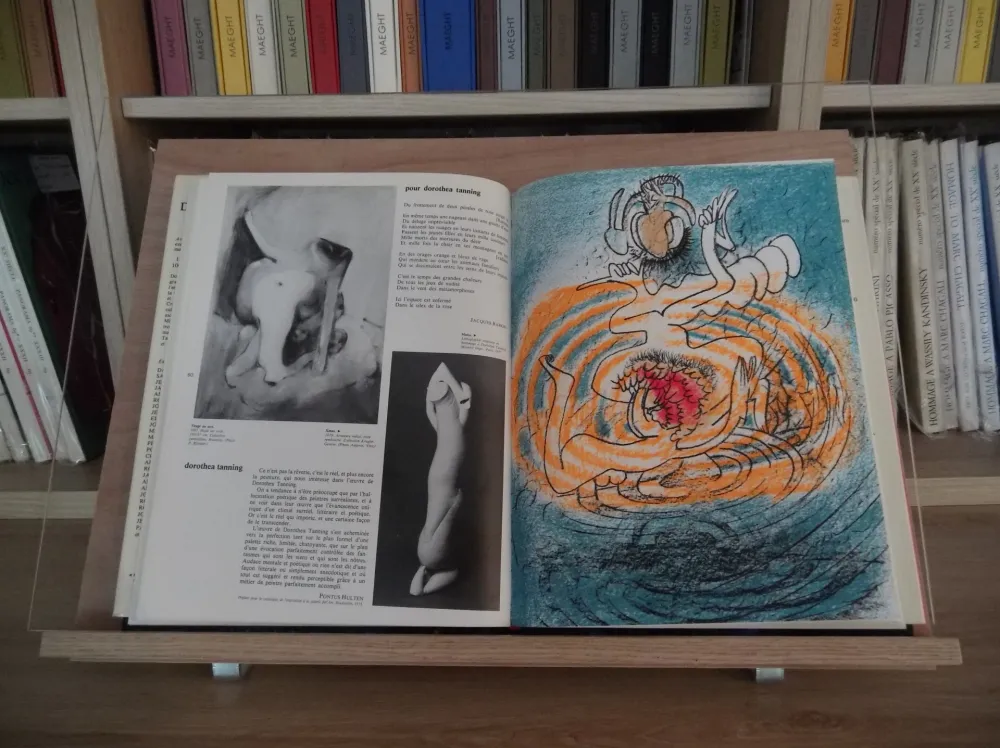 挿絵入り本 Matta - Xxe Tanning