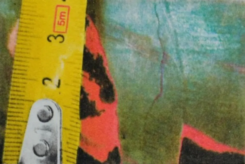 写真 Mcbride - Untitled (Rulers III)