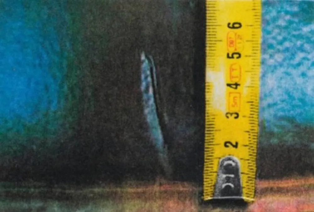 写真 Mcbride - Untitled (Rulers IV)