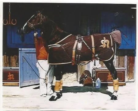 リトグラフ Mclean - Prim Style