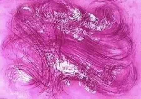 エッチングと　アクチアント Messagier - Les mangeurs de vent 