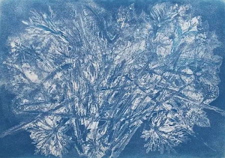 エッチングと　アクチアント Messagier -  Machine à Printemps 