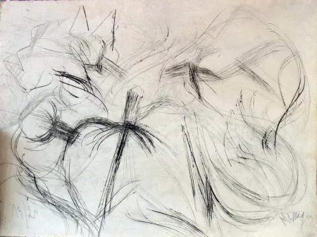 リトグラフ Messagier - Sans titre