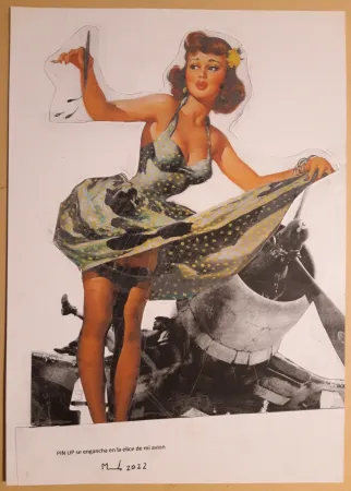 技術的なありません Metras - PIN UP se engancha en la helice de mi avión