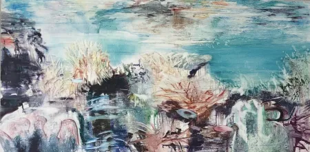 技術的なありません Meyer - Coral Reef