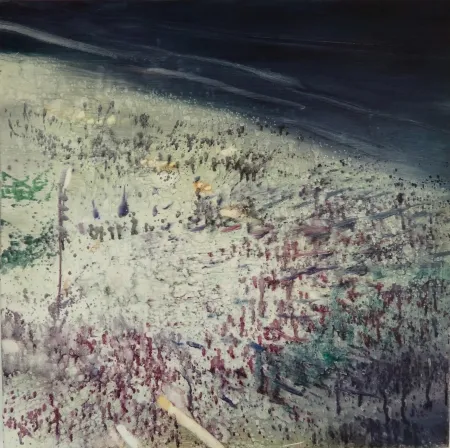 技術的なありません Meyer - Rio Beach