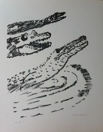 リトグラフ Michaux - Par la voie des rythmes 153