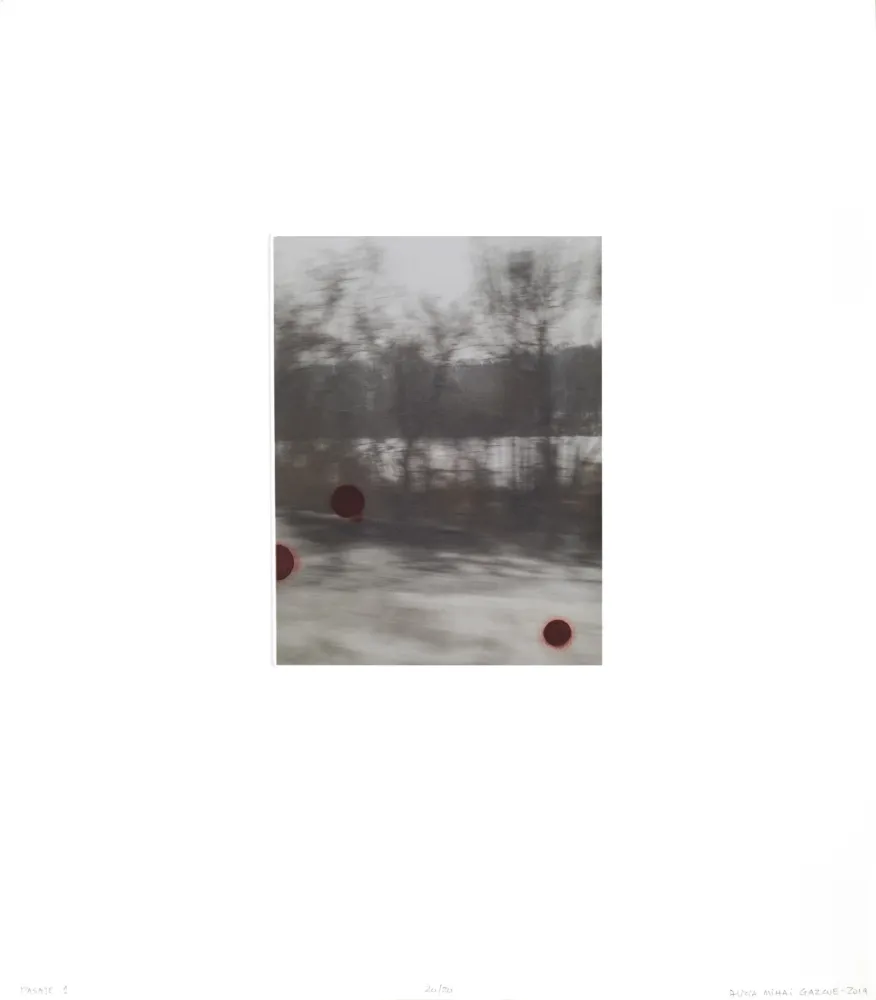 多数の Mihai Gazcue - Pasaje I