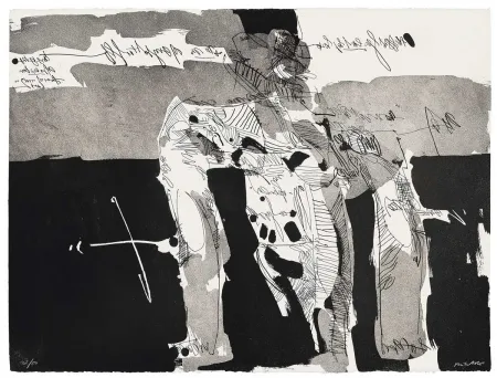 アクチアント Millares - Antropofauna