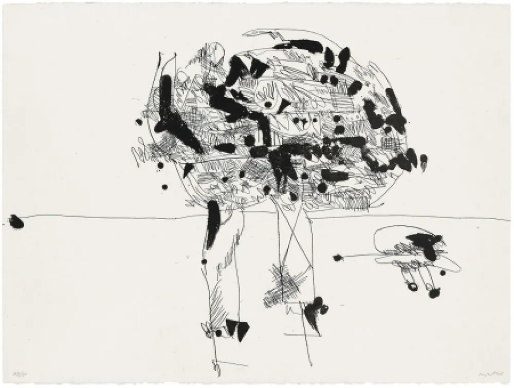 アクチアント Millares - Antropofauna