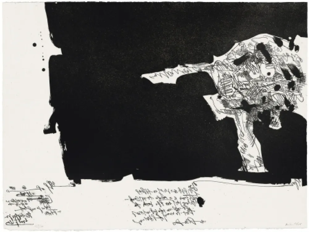 アクチアント Millares - Antropofauna