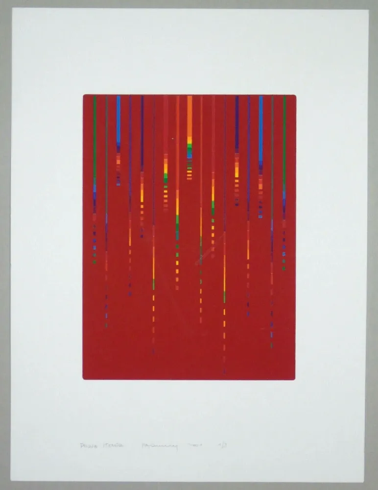 シルクスクリーン Minoli - Composizione (c)