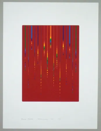 シルクスクリーン Minoli - Composizione (c)