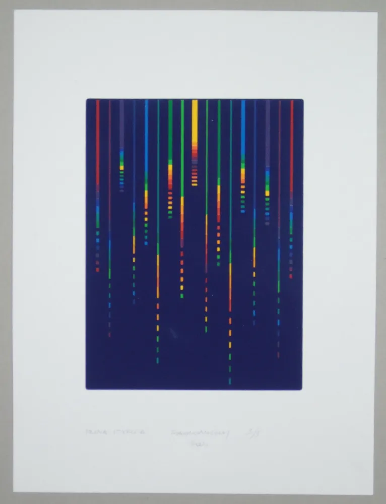 シルクスクリーン Minoli - Composizione (e)