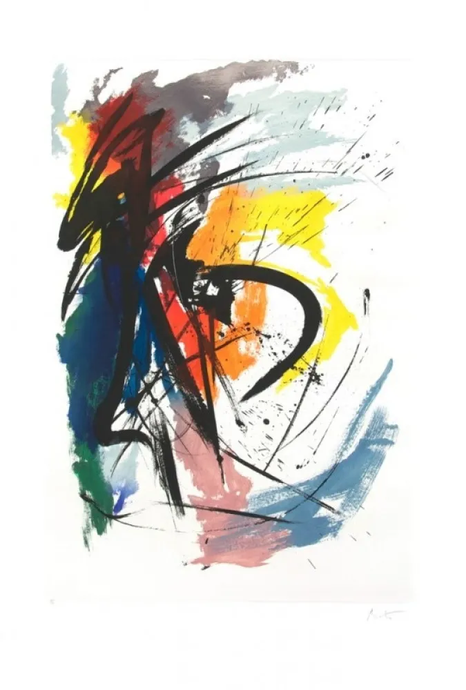 エッチングと　アクチアント Miotte - Florida