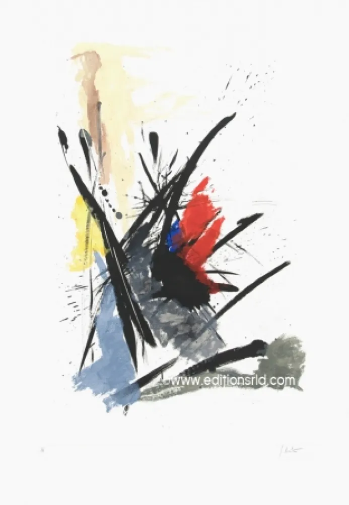 エッチングと　アクチアント Miotte - L'iroquois