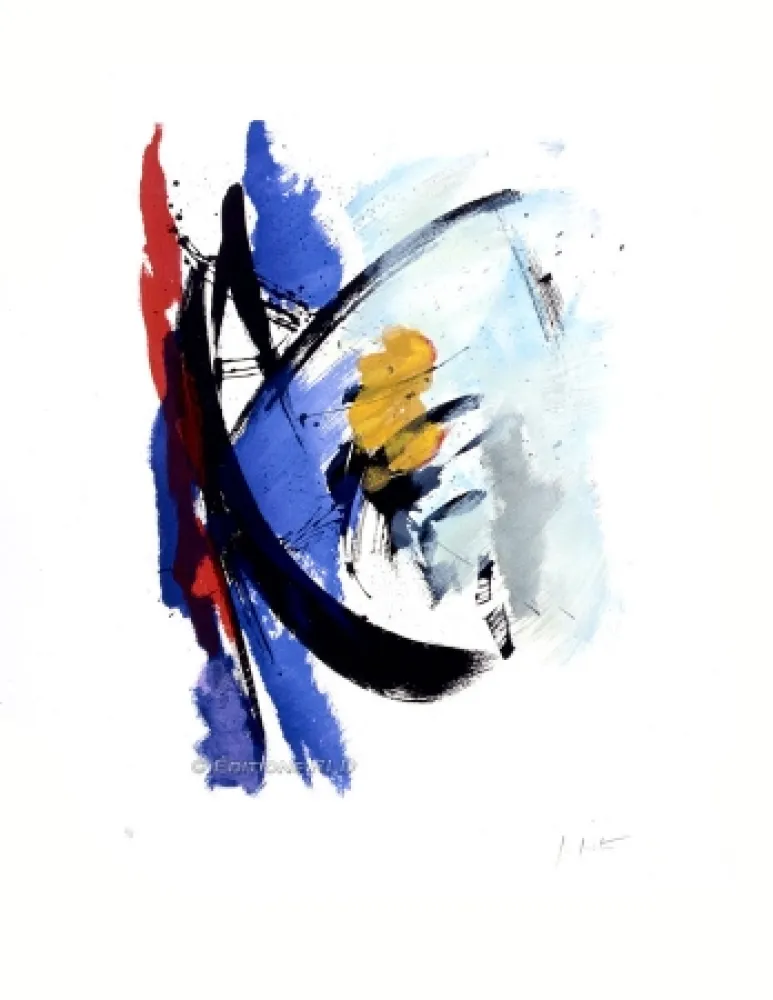 アクチアント Miotte - Oblique marine