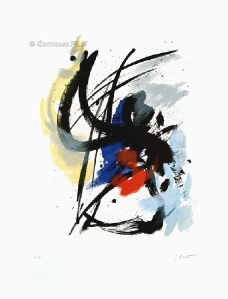 アクチアント Miotte - Pierre Noire