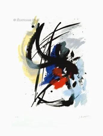 アクチアント Miotte - Pierre Noire