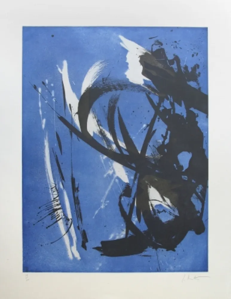 エッチング Miotte - Propos délibérés océan