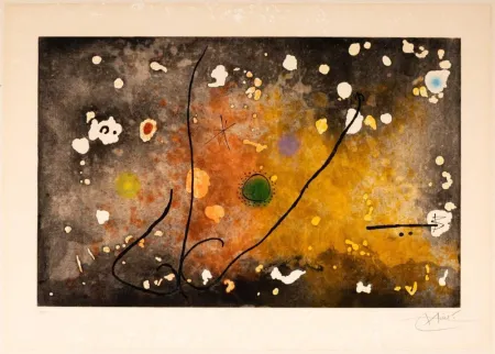 アクチアント Miró - Archipel Sauvage III