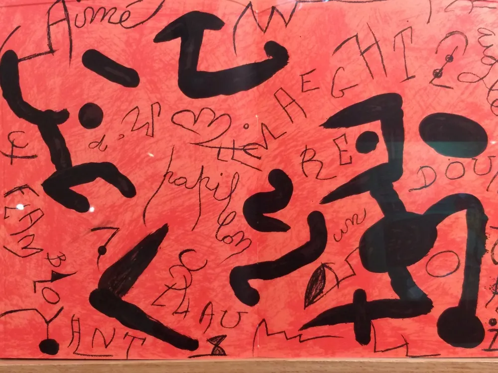 挿絵入り本 Miró - DLM 250