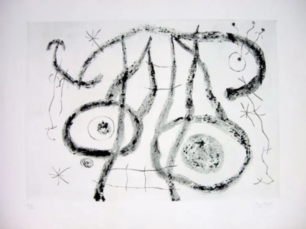 ポイントーセッシュ Miró - EL AGUADOR V