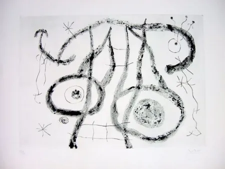 ポイントーセッシュ Miró - EL AGUADOR V