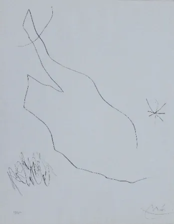 ポイントーセッシュ Miró - Journal d'un graveur 1