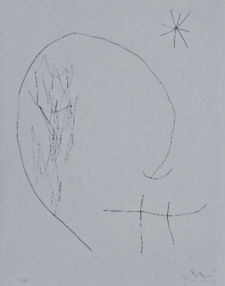 ポイントーセッシュ Miró - Journal d'un graveur 2