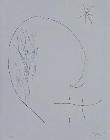 ポイントーセッシュ Miró - Journal d'un graveur 2