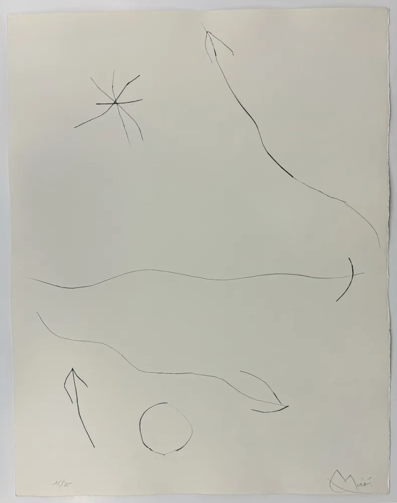 ポイントーセッシュ Miró - Journal d'un graveur II