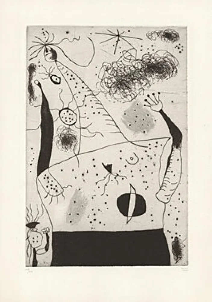 ポイントーセッシュ Miró - 