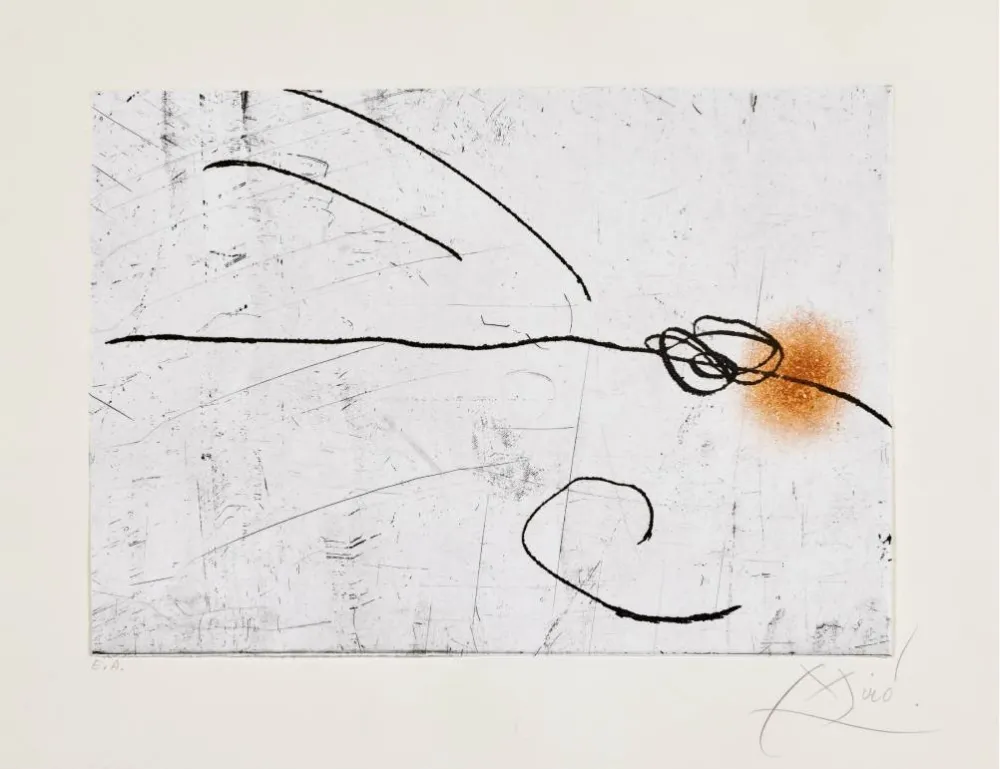 エッチングと　アクチアント Miró - Lapidari