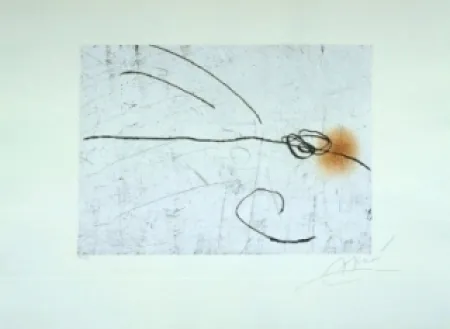 エッチングと　アクチアント Miró - Lapidari, Aquilinus