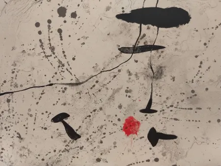 挿絵入り本 Miró - Trace Sur l'eau