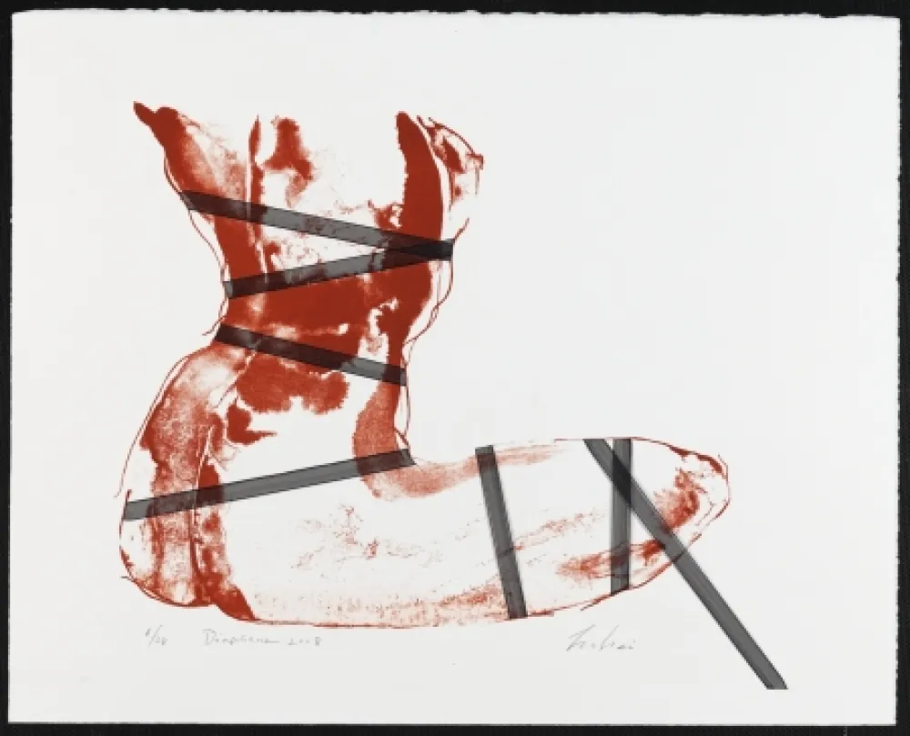 リトグラフ Mizutani - Diaphane