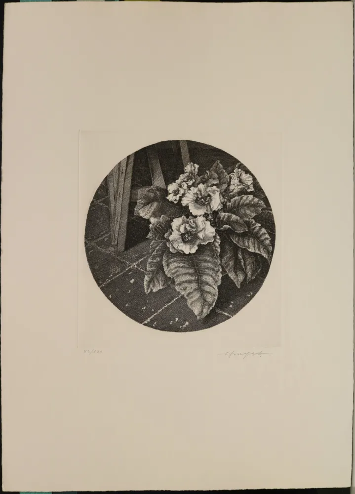 エッチング Mongatti - Natura morta