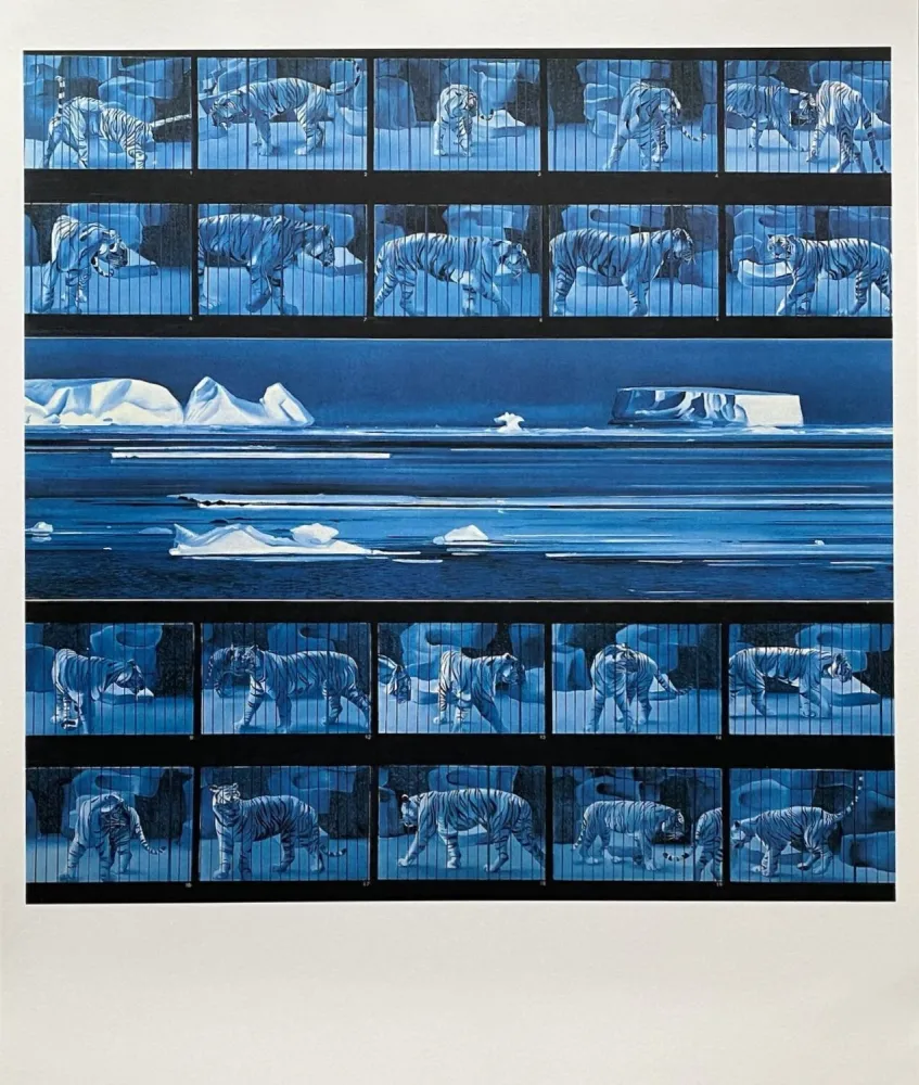 掲示 Monory - Dream tiger No 4