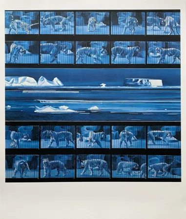 掲示 Monory - Dream tiger No 4