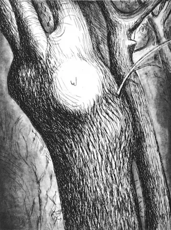 エッチングと　アクチアント Moore - Trees VI dead ash