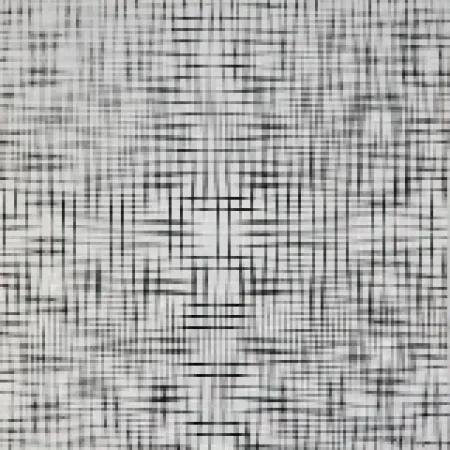 シルクスクリーン Morellet - 2 doubles trames