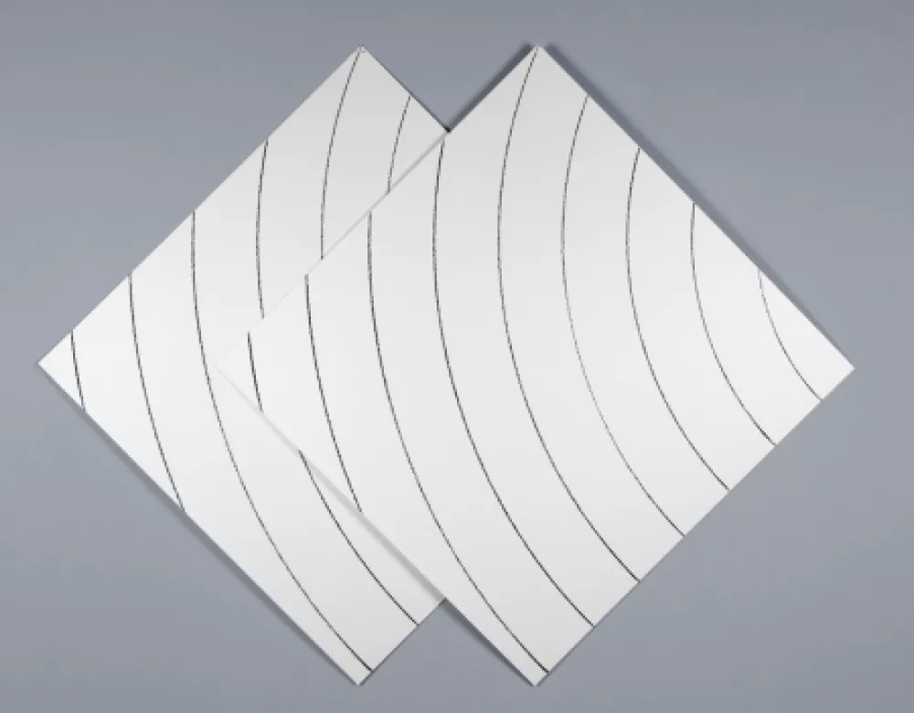 シルクスクリーン Morellet - Ondes parasites 1