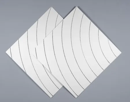 シルクスクリーン Morellet - Ondes parasites 1