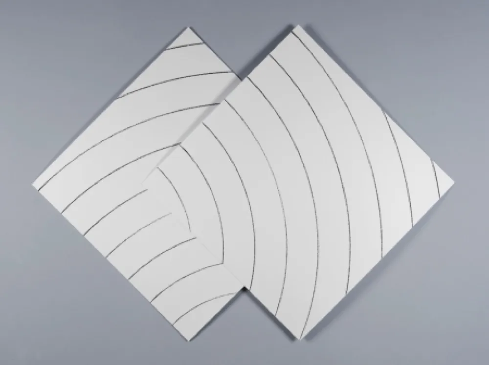 シルクスクリーン Morellet - Ondes parasites 2