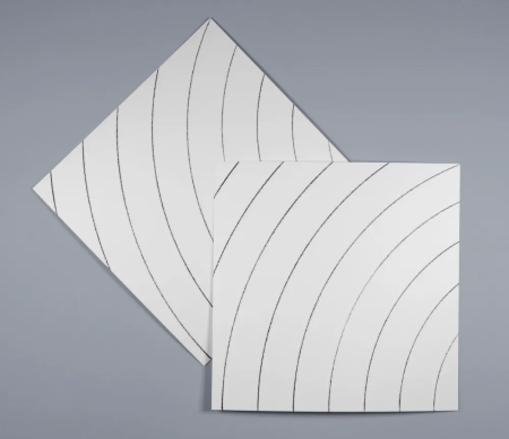 シルクスクリーン Morellet - Ondes parasites 2