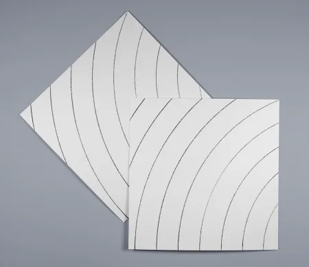 シルクスクリーン Morellet - Ondes parasites 2